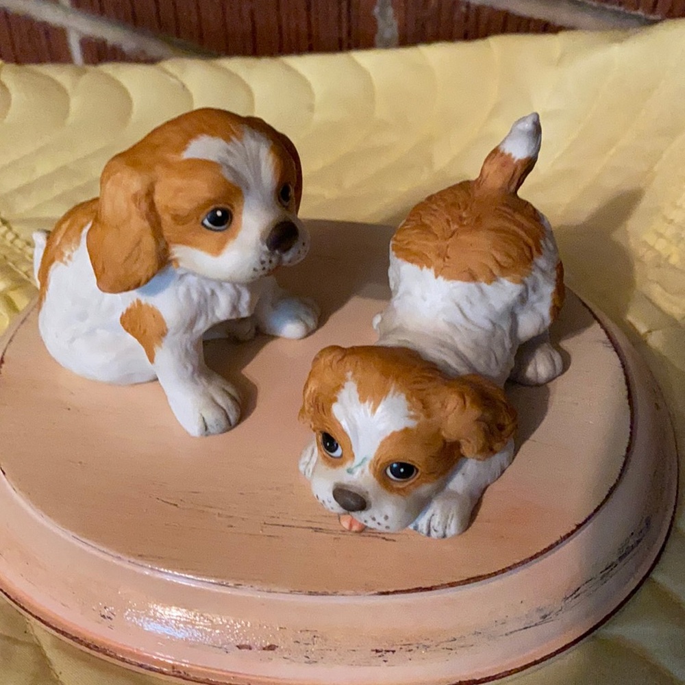 HOMCO PUPS
